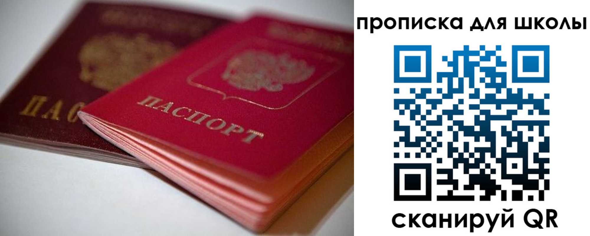 прописка для школы в Ленинградской области